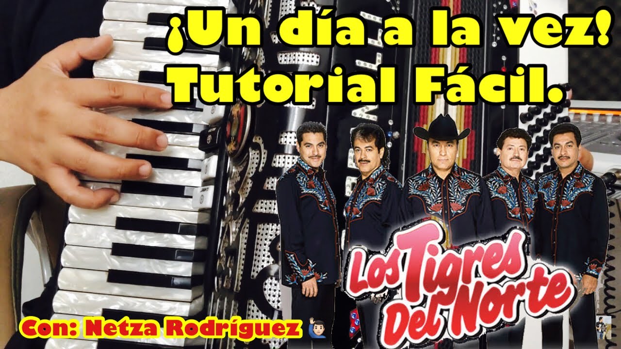 Un día a la vez / Acordeón Fácil / Netza Rodríguez 🙋🏻‍♂️