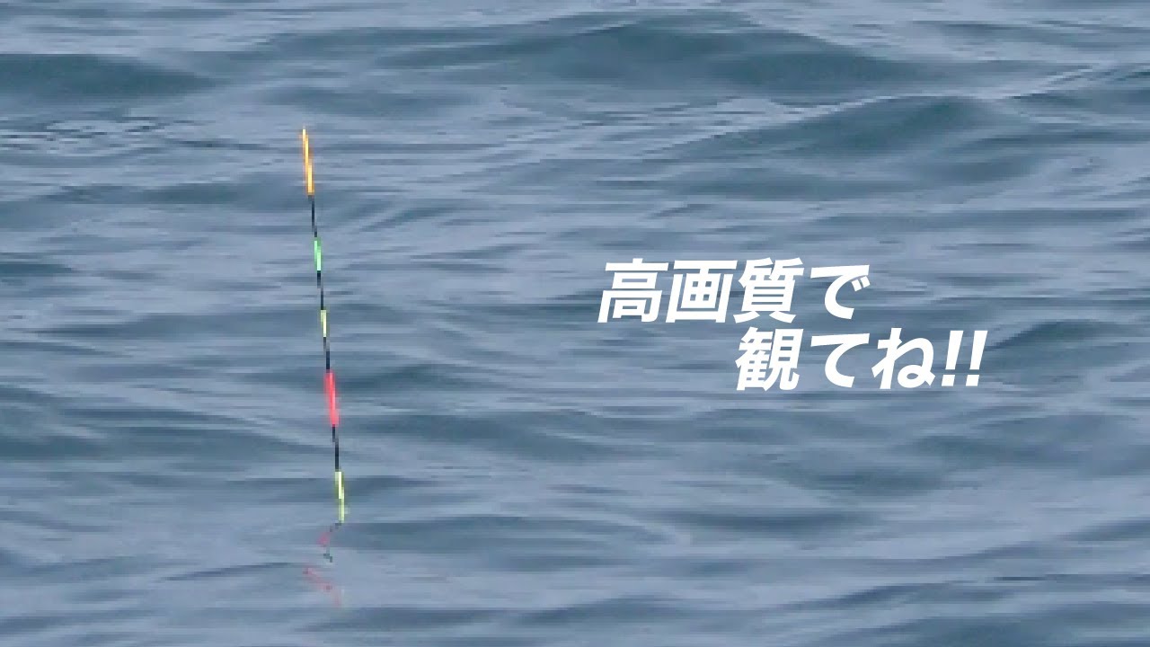 『4K』「ウキのシーン多め」遠矢ウキ超遠投小と小さなダンゴ釣りで初めての磯に挑む  #遠矢流　#紀州釣り