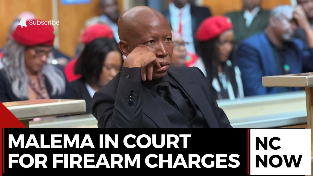 Julius Malema Back in Court for Sentencing on Firearm Charges