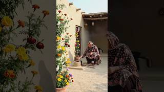 Gaon Ki Subah | Simple Life #villagelife  #desilife #freshmorning  #trending #peaceful #viralreels
