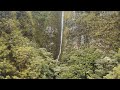 One of oahus tallest waterfalls makaua falls