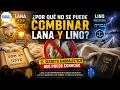 ¿Por qué no se puede combinar LANA  con LINO según la Kabbalah?