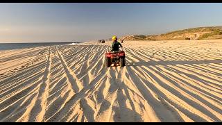Excellent Day ATVing in Baja del Sur