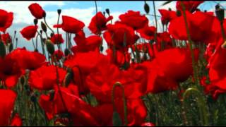 Richard Clayderman  The Most Beautiful Girl