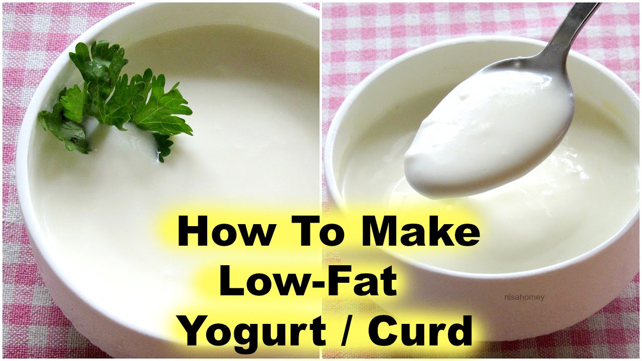 How To Make Low Fat Curd Yogurt At Home Homemade Thick Curd Dahi