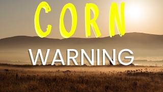 Is Corn Damaging Your Vision The Truth You Need To Know