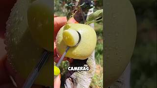 Zoom Filter Fail in Class! 😂 | Online Class Funny Moment #facts #satisfying #funny #shorts