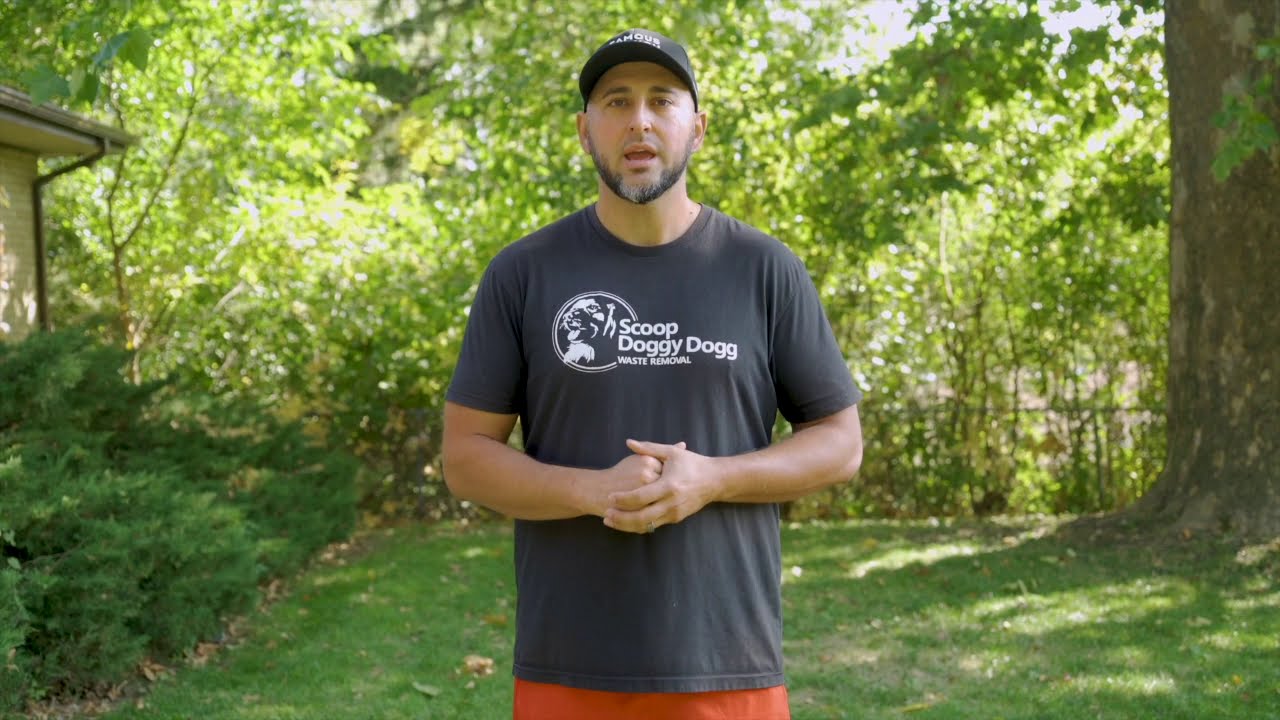 Turn That Brown into Green by Starting a Pooper Scooper Business Today