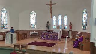 February 22, 2026  Sunday Mass