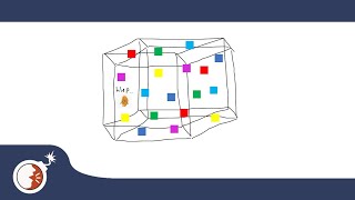 KTaNE - How to - 4D Maze