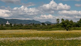 Паломництво в Долину нарцисів