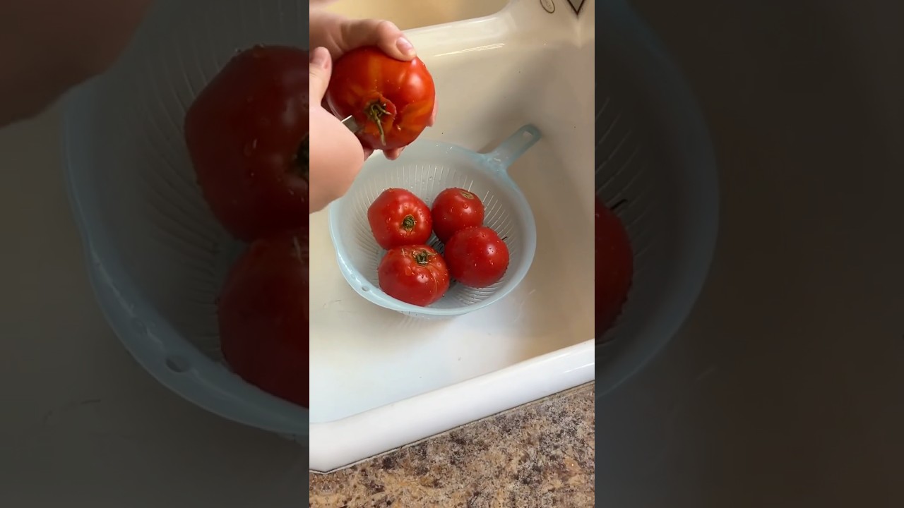 🍅How I core and vacuum seal my tomatoes for freezing🍅