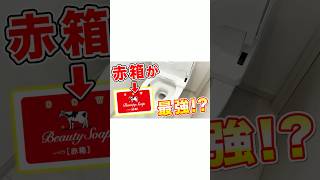 【最強すぎ】赤箱石けんでトイレ掃除!