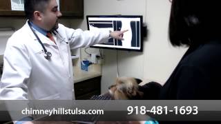 Chimney Hills Animal Hospital - Short Tulsa OK