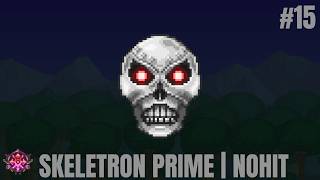 Skeletron Prime No Hit | Terraria Calamity Death Mode