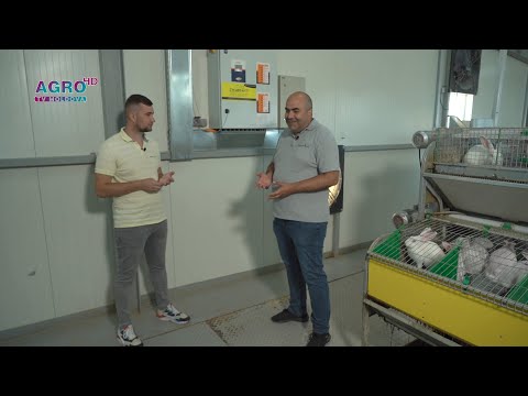 Video: Ural Bank for Reconstruction. Evaluarea băncii și recenziile deponenților