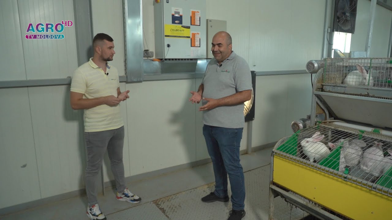 AGRI SMART – Creșterea iepurilor după cele mai moderne tehnologii