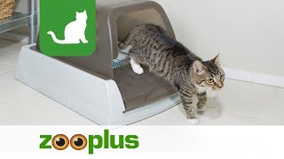 Sentimiento de culpa silbar Ambientalista Arenero autolimpiable ScoopFree para gatos | zooplus.es - YouTube