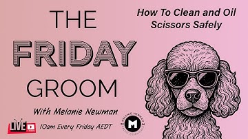 How to Clean and Oil Dog Grooming Scissors (Pro Shear Maintenance)