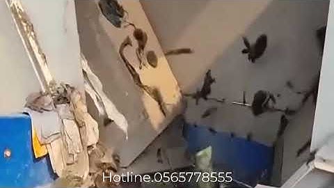 Quạt phân loại rác #phanloairacbangquatthoi #daychuyenphanloairac #maynghienrac