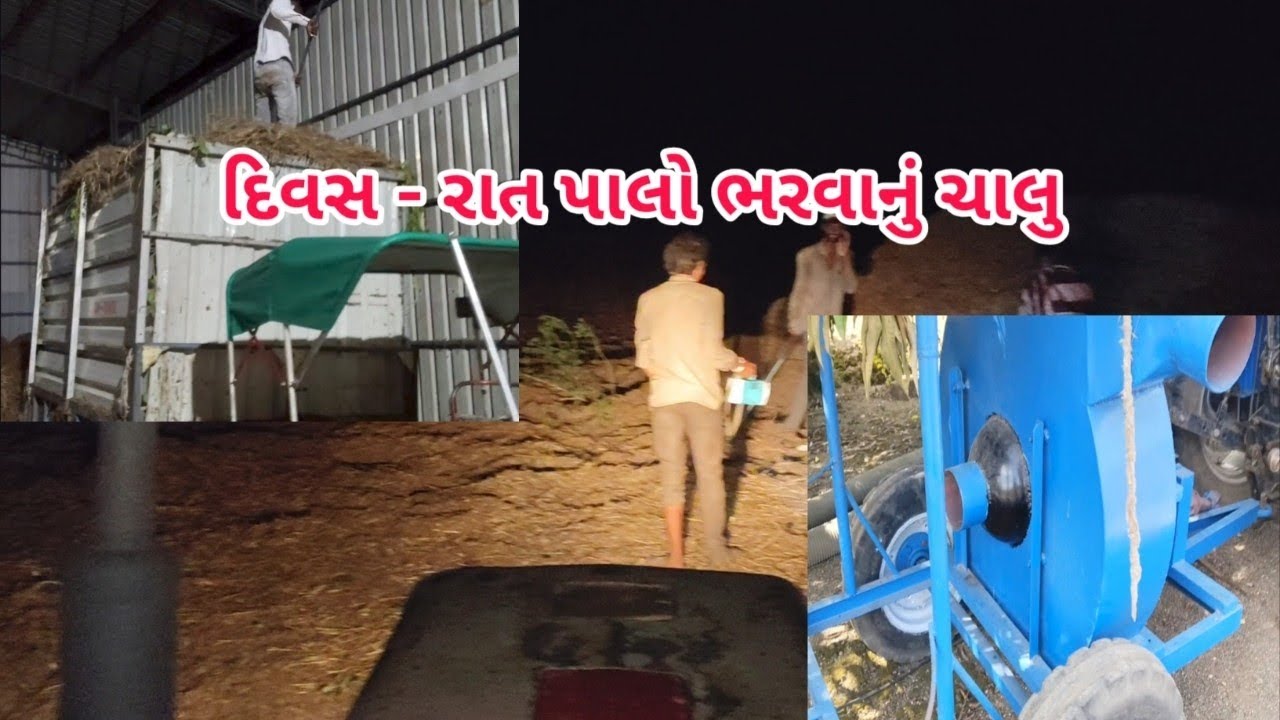 હવે લડી જ લેવાનું છે💪💪 શ્રી દેવ બળદ આશ્રમ 7069719595 #villagevlog #farming #cow #vlog #horse 