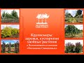 Растения в полях Подмосковного отделения «Питомника Савватеевых».