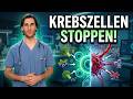 Dieses Lebensmittel kann DNA reparieren und Krebszellen bekämpfen