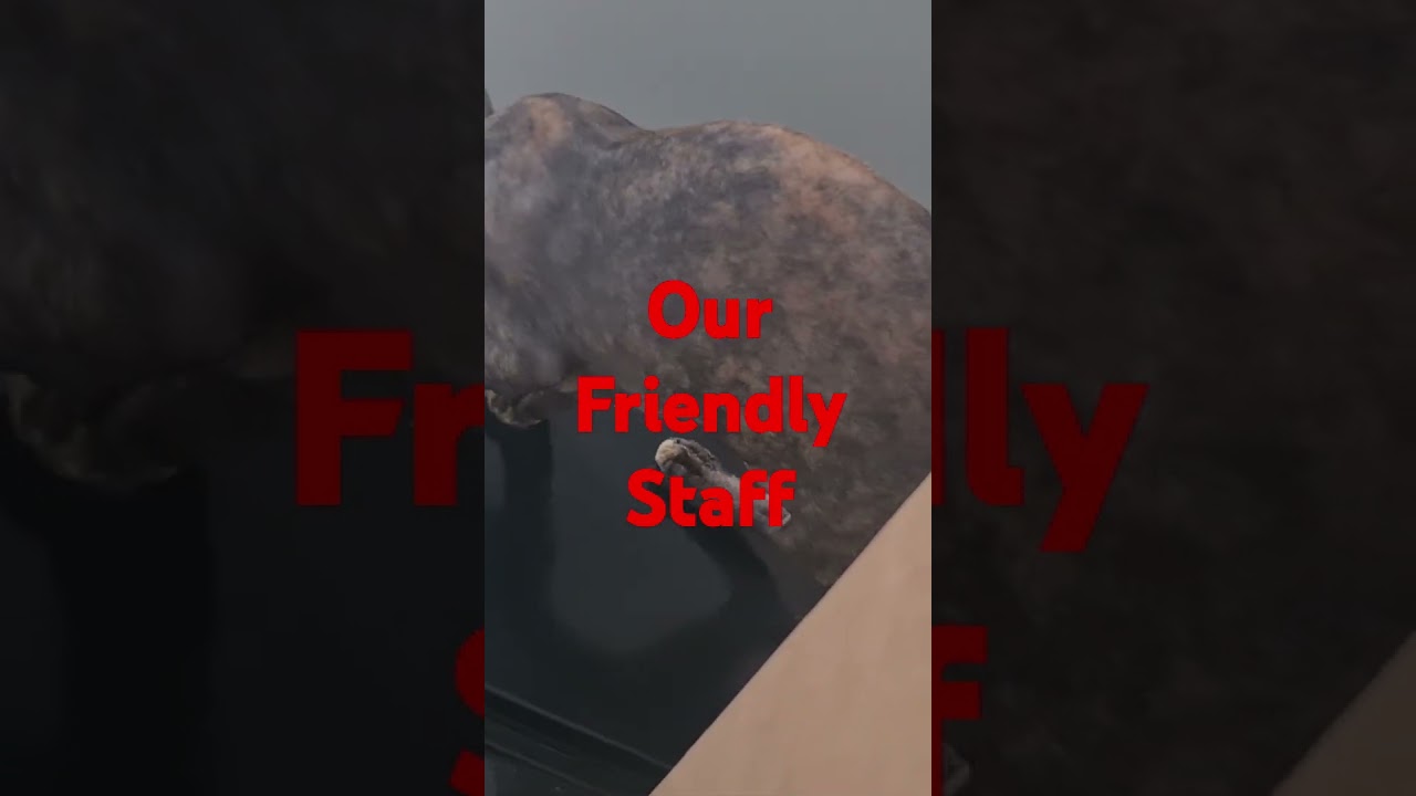 24/7 HOUSES HOME 🏡 FLAT REMOVALS PACKING SERVICE STORAGE LONDON ☎️ 0207 585 1234