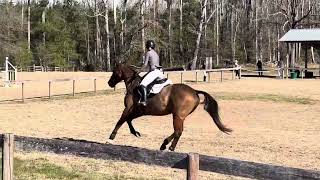 Anna Rose Erickson and Unmarked Bills SJ Pine Top Advanced 2025