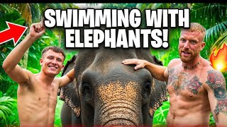 Swimming With The Elephants In Bali, Ubud