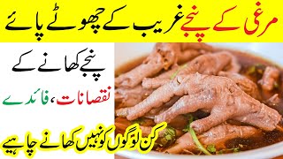 Murgi Ke Panje Khane Ke Fayde Or Nuksanat  Benefits Of Eating Chicken Feet