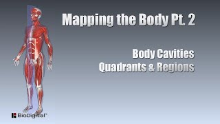 Mapping the Body Part 2