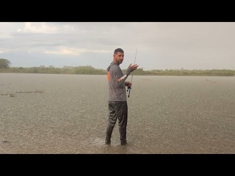 A CHUVA AJUDOU NA PESCARIA PEIXES COM MUITA FOME.