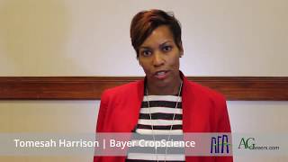 Navigating the Job Search Process | Chapter 3 Impressions
