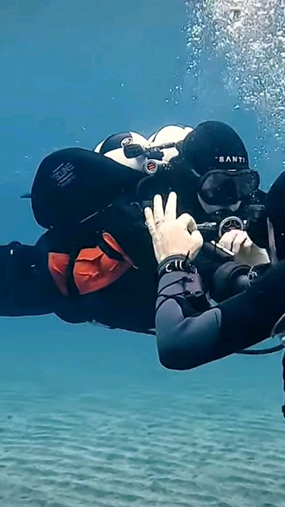 What is the MOST crucial skill for any divers to master ? #diving #howto #underwater #scuba #skills