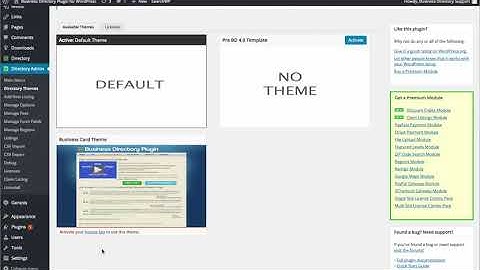 Business Directory Theme Install Walkthrough for WordPress