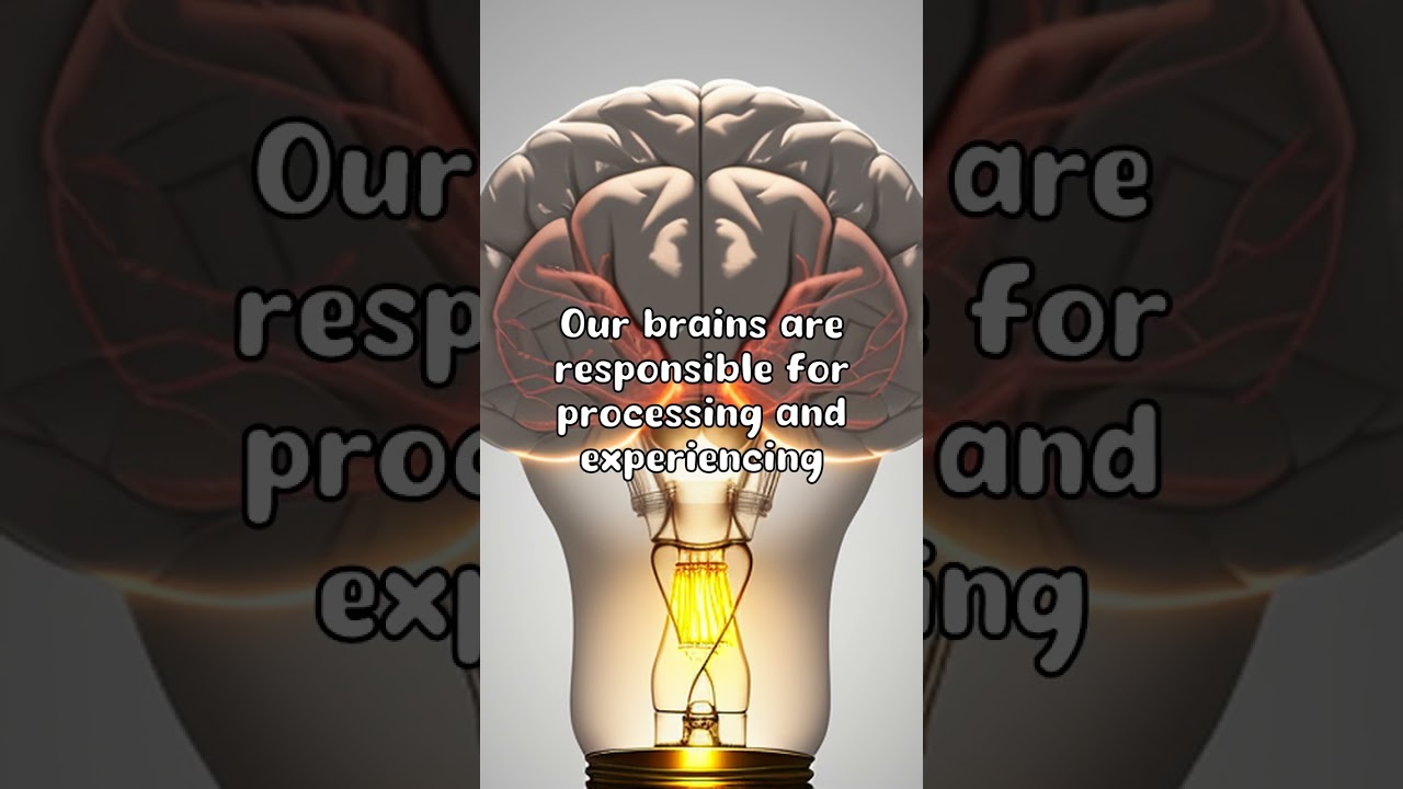 **The Power Within: Unleashing the Incredible Abilities of Your Brain!**