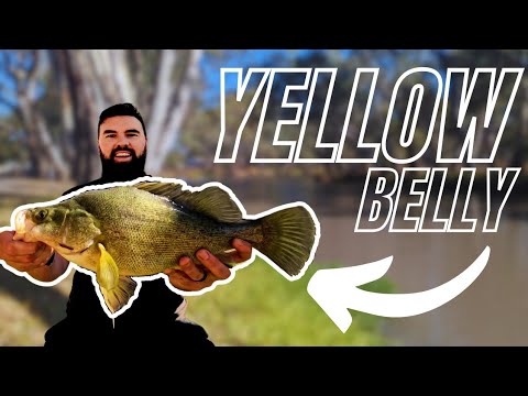 Best Ultralight Rod? Latest Spinning Reel Combo 