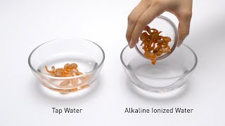 Alkaline Ionized Water Practical Test Shrimp