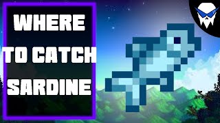 Stardew Valley – How to Catch Sardine (Best Spots & Simple Tips)