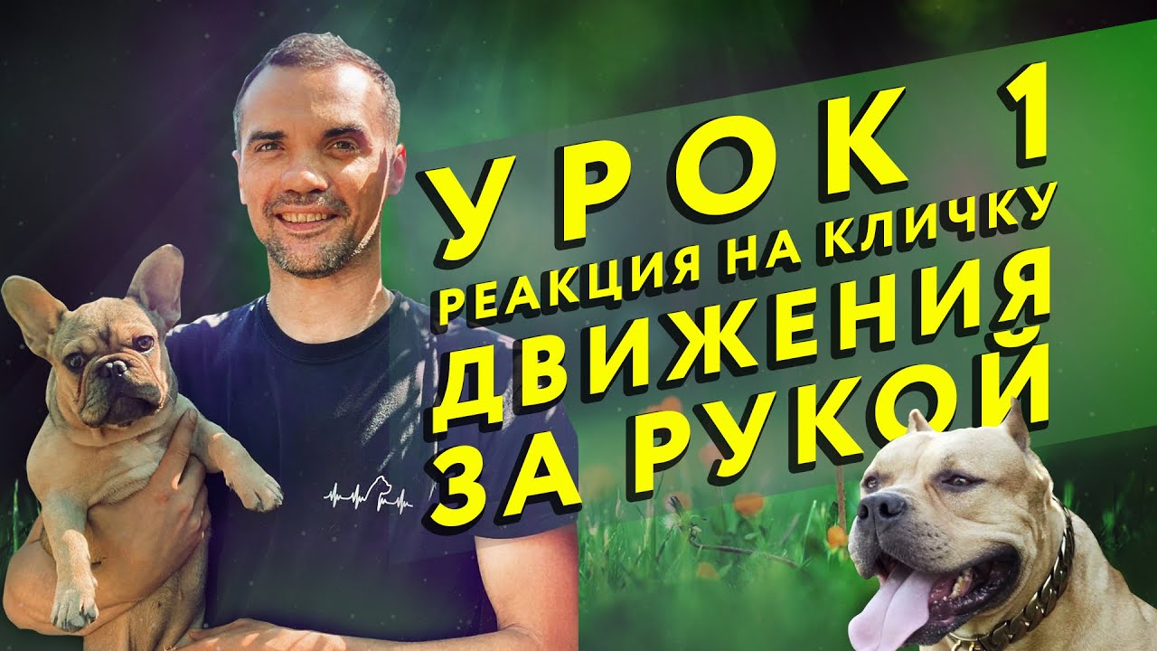 Смотреть видео