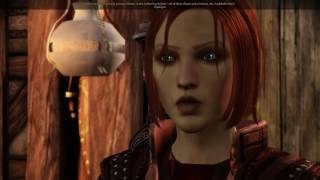 Radiator Blog: Dragon Age: Origins is the First Game About Gay Marriage +  The Power of Mods