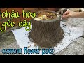 Cách làm chậu hoa giả gốc cây. Diy concrete flower stump pot. How to make real concrete tree stump.