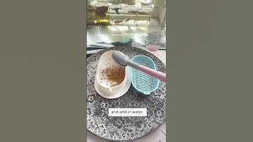 It’s Cat Grass Harvest Time Again! 😻