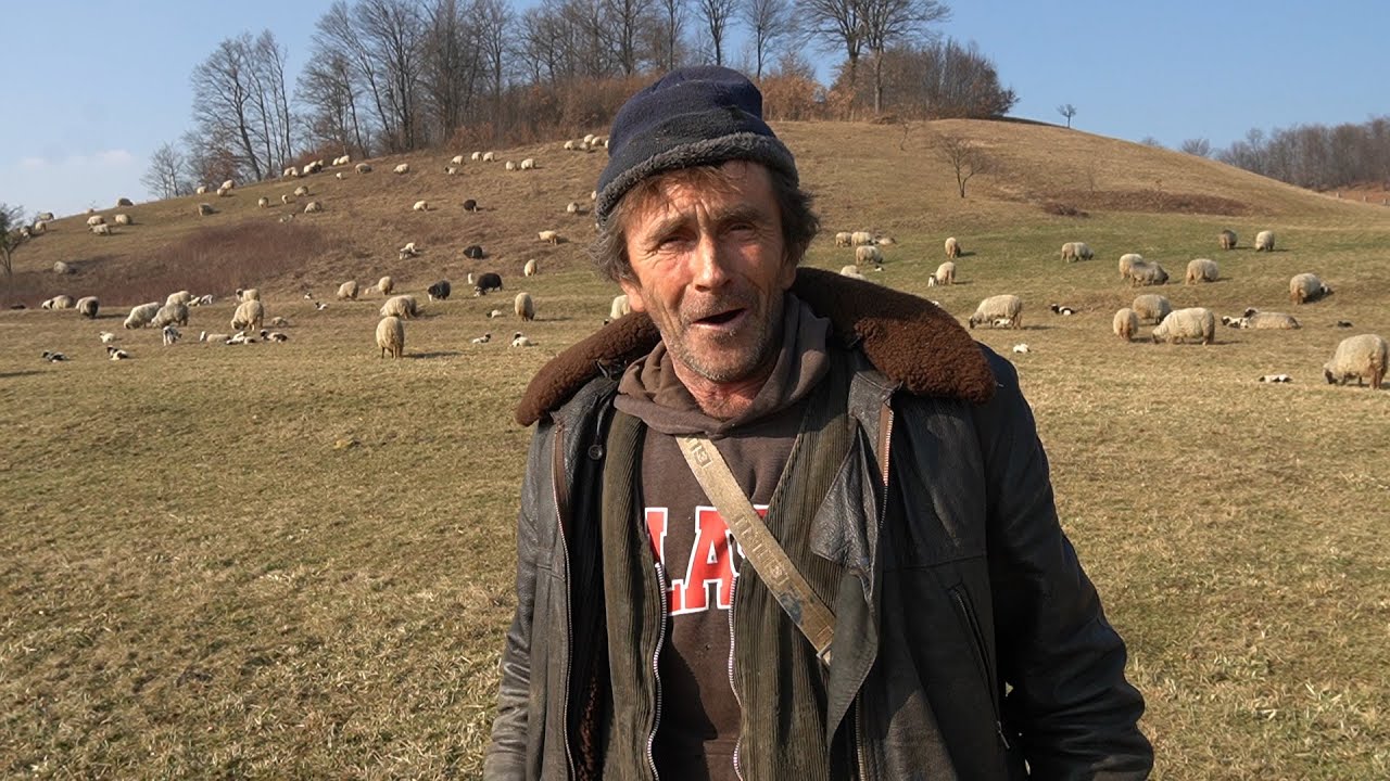 PRODAO  JANJE  OD  41 KILU  PO  9 MARAKA  GDJE TO NIJE  DOBRO