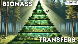 Biomass Transfer