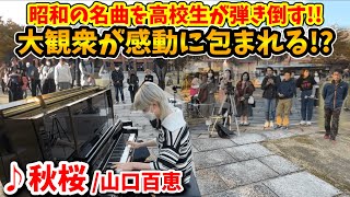 【ストリートピアノ】「秋桜」山口百恵 昭和の名曲を高校生が弾き倒す!!大観衆が感動に包まれる!?[姫音祭streetpiano]