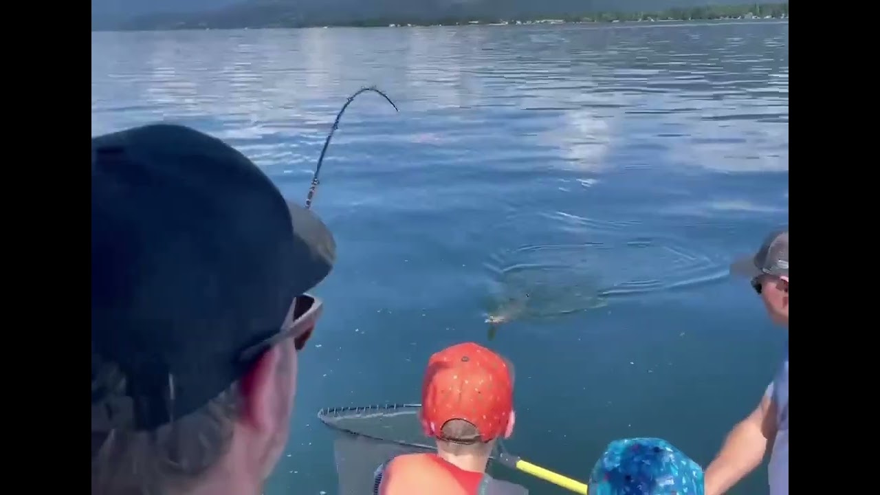 Giant Lake Trout on the Shuswap