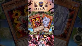 RDA x Clear World Combo #1 🔥 One Turn Synchro Floodgate! #yugioh #reddragonarchfiend #comboguide
⚠️ This Red Dragon Archfiend deck runs engines purely for CREATIVE FUN and chaotic plays, meant to ENTERTAIN, not dominate!
✪ Support Me:
🔻 If you enjoy the video, dont forget to click 👍 and subscribe, and if you want more future uploads, click the 🔔 button!
🔻 Join ZedLocks Community and gain access to exclusive videos! RDA x Clear World Combo #1 🔥 One Turn Synchro Floodgate! #yugioh #reddragonarchfiend #comboguide