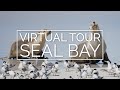 Virtual Tour of Seal Bay, Kangaroo Island | Exceptional Kangaroo Island